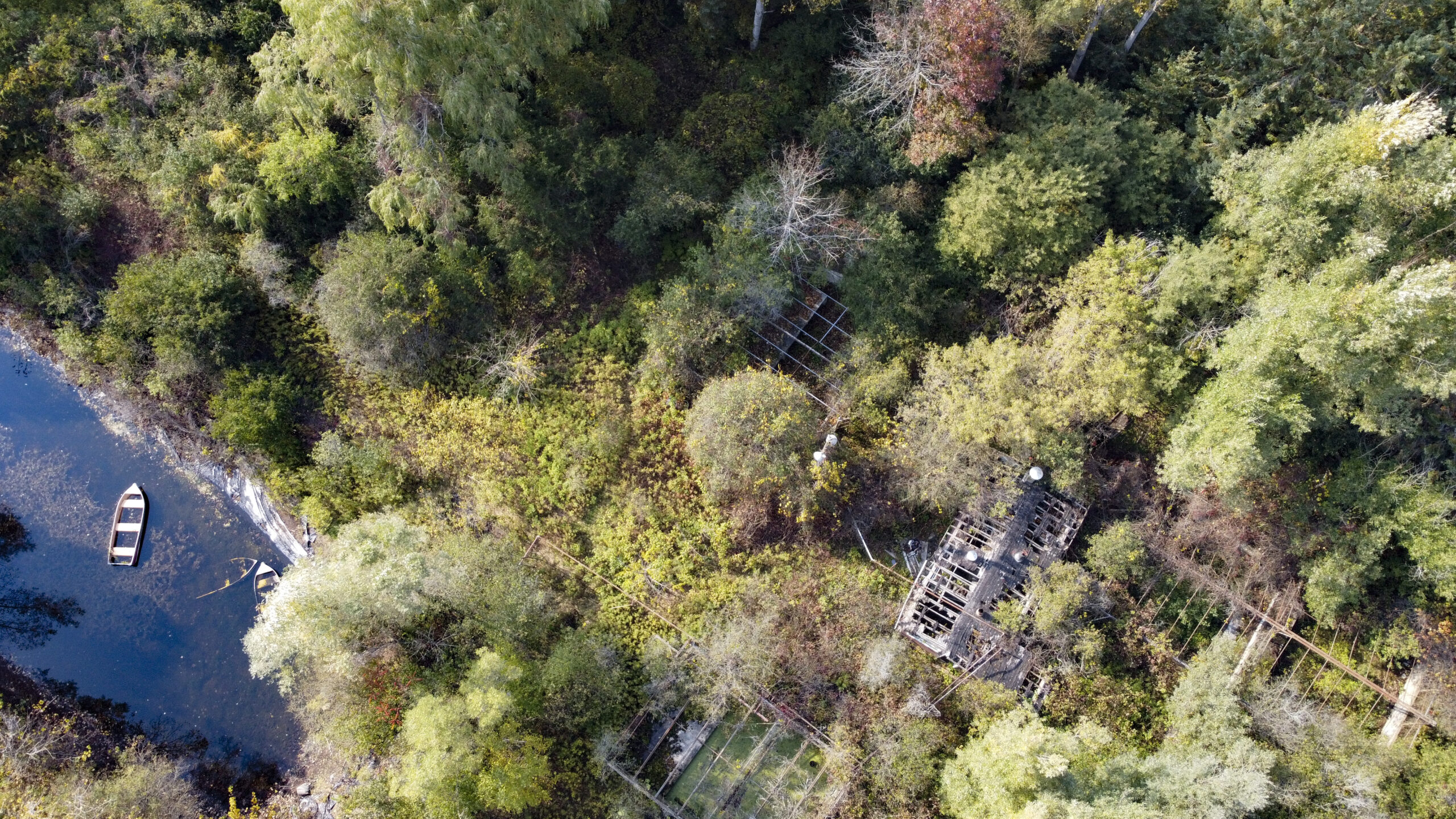bird's eye view of an abandoned research site in the forest