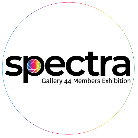Spectra Gallery 44 Members Exhibition